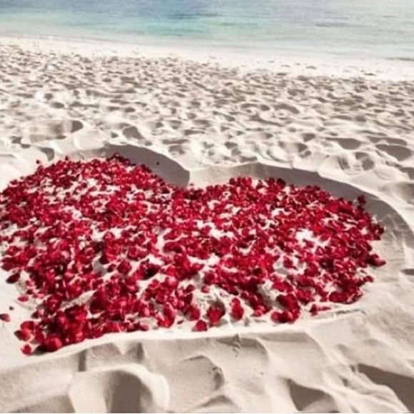 Meet your Posher, Kathy - Picture 2 of 3